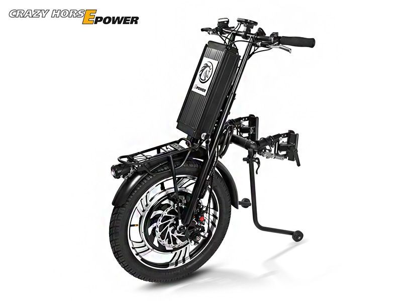 Crazy HorsEPower 600R